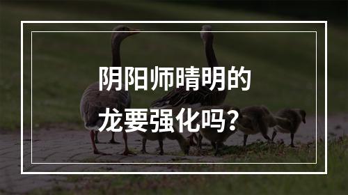 阴阳师晴明的龙要强化吗？