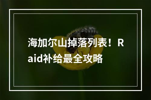 海加尔山掉落列表！Raid补给最全攻略