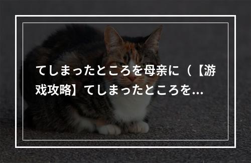 てしまったところを母亲に（【游戏攻略】てしまったところを母亲に）