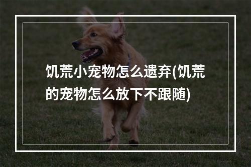 饥荒小宠物怎么遗弃(饥荒的宠物怎么放下不跟随)