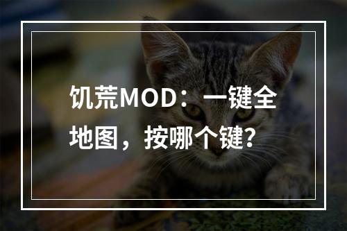 饥荒MOD：一键全地图，按哪个键？