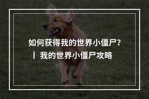 如何获得我的世界小僵尸？ 丨 我的世界小僵尸攻略