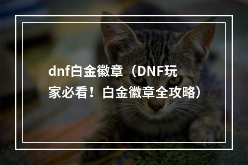 dnf白金徽章（DNF玩家必看！白金徽章全攻略）