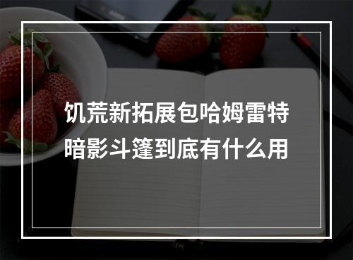 饥荒新拓展包哈姆雷特暗影斗篷到底有什么用