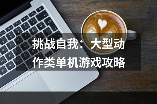 挑战自我：大型动作类单机游戏攻略