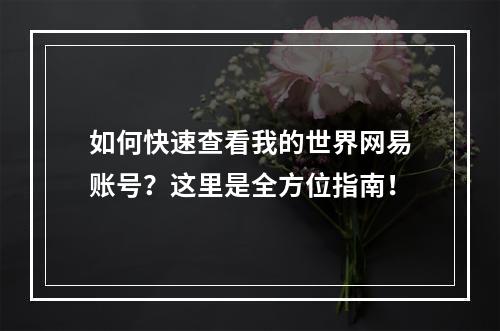 如何快速查看我的世界网易账号？这里是全方位指南！