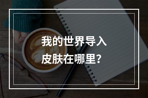 我的世界导入皮肤在哪里？