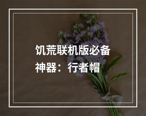 饥荒联机版必备神器：行者帽