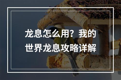 龙息怎么用？我的世界龙息攻略详解