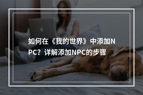 如何在《我的世界》中添加NPC？详解添加NPC的步骤