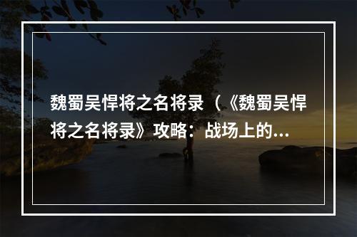 魏蜀吴悍将之名将录（《魏蜀吴悍将之名将录》攻略：战场上的猛将强者助你称霸三国）