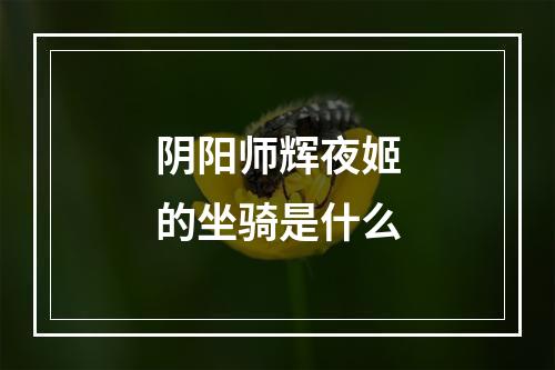 阴阳师辉夜姬的坐骑是什么