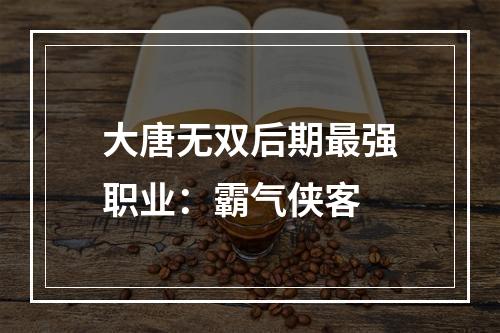 大唐无双后期最强职业：霸气侠客