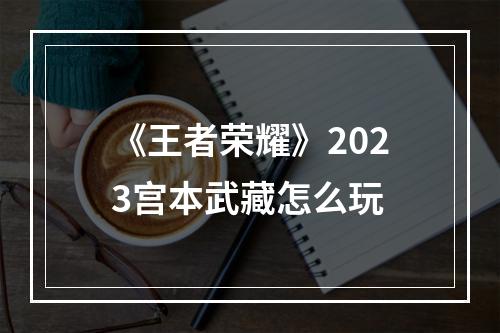 《王者荣耀》2023宫本武藏怎么玩