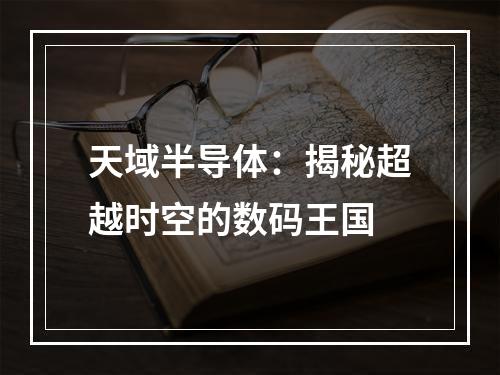 天域半导体：揭秘超越时空的数码王国