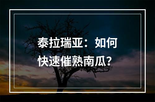 泰拉瑞亚：如何快速催熟南瓜？