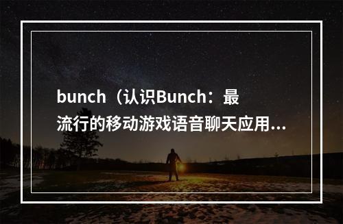 bunch（认识Bunch：最流行的移动游戏语音聊天应用）