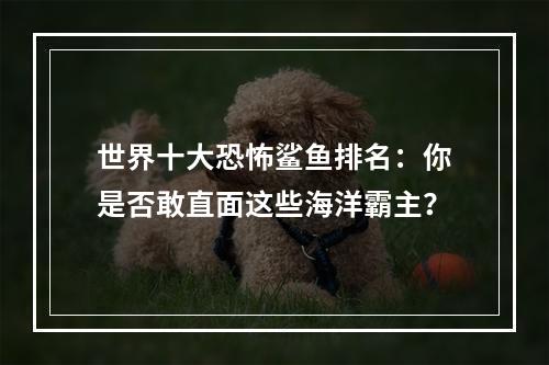 世界十大恐怖鲨鱼排名：你是否敢直面这些海洋霸主？