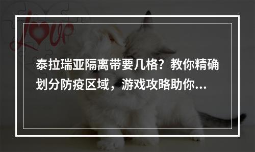 泰拉瑞亚隔离带要几格？教你精确划分防疫区域，游戏攻略助你轻松通关！