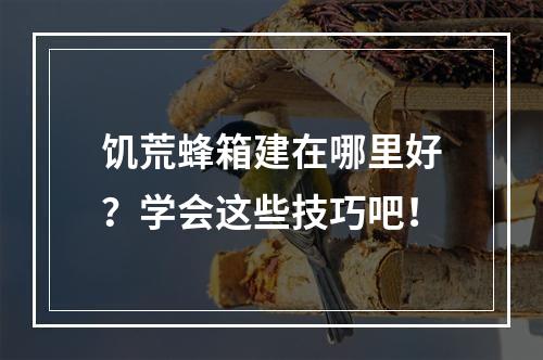 饥荒蜂箱建在哪里好？学会这些技巧吧！