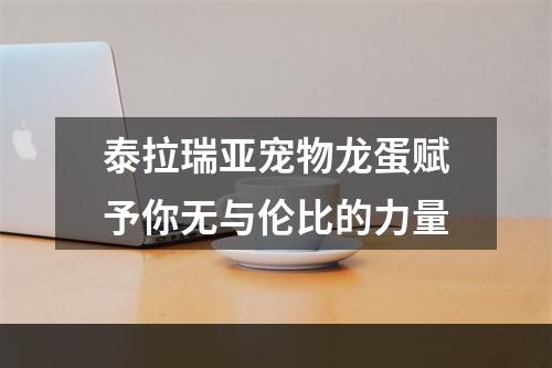 泰拉瑞亚宠物龙蛋赋予你无与伦比的力量