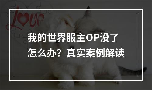 我的世界服主OP没了怎么办？真实案例解读