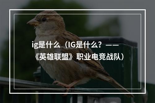 ig是什么（IG是什么？——《英雄联盟》职业电竞战队）