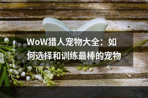 WoW猎人宠物大全：如何选择和训练最棒的宠物