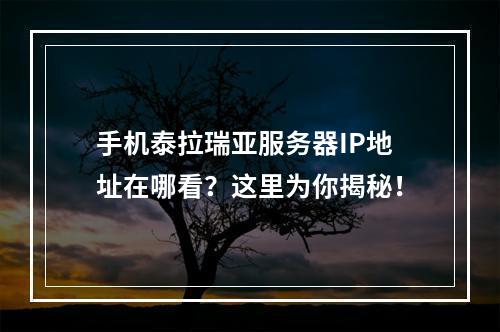 手机泰拉瑞亚服务器IP地址在哪看？这里为你揭秘！