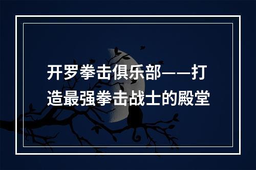 开罗拳击俱乐部——打造最强拳击战士的殿堂