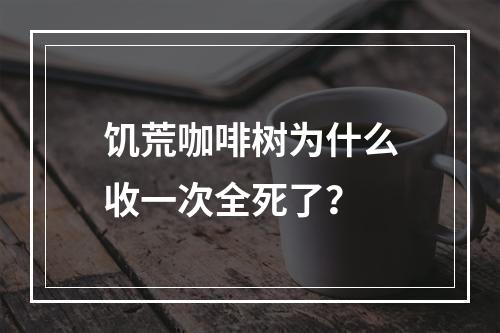 饥荒咖啡树为什么收一次全死了？