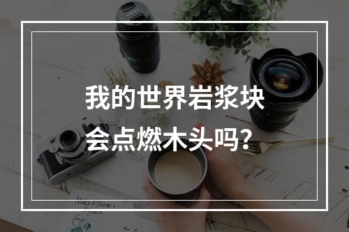 我的世界岩浆块会点燃木头吗？