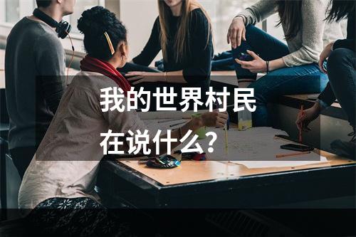 我的世界村民在说什么？