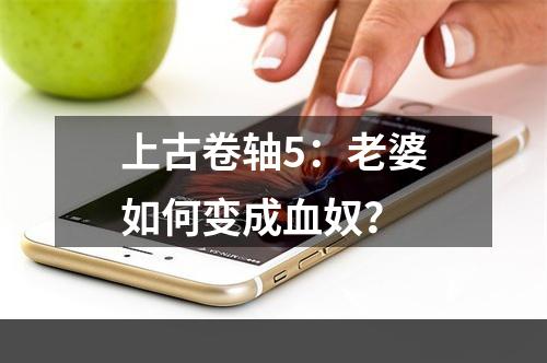 上古卷轴5：老婆如何变成血奴？