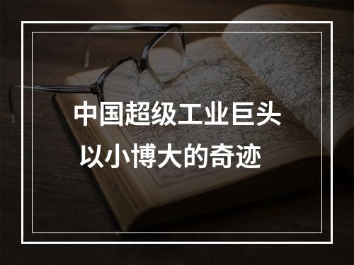 中国超级工业巨头 以小博大的奇迹