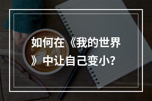 如何在《我的世界》中让自己变小？