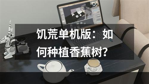 饥荒单机版：如何种植香蕉树？