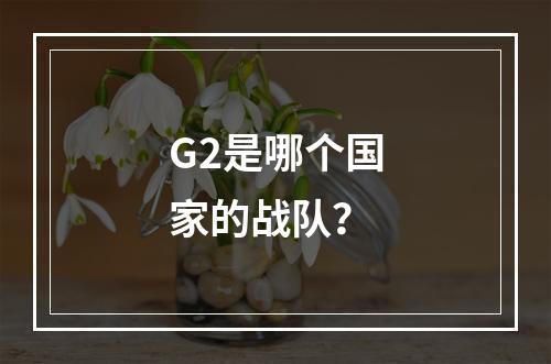 G2是哪个国家的战队？