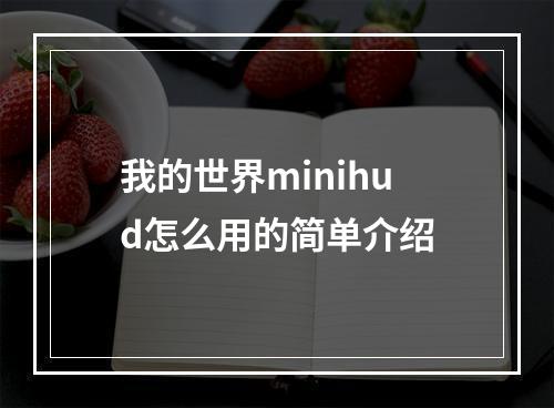 我的世界minihud怎么用的简单介绍