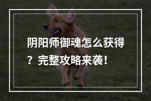 阴阳师御魂怎么获得？完整攻略来袭！