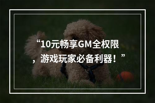 “10元畅享GM全权限，游戏玩家必备利器！”