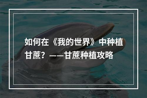 如何在《我的世界》中种植甘蔗？——甘蔗种植攻略