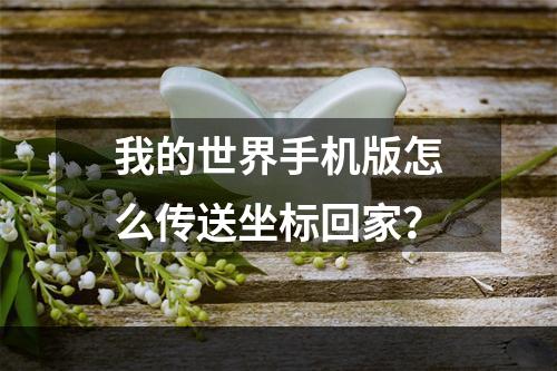 我的世界手机版怎么传送坐标回家？