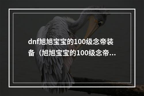 dnf旭旭宝宝的100级念帝装备（旭旭宝宝的100级念帝装备大揭秘）