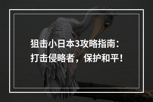 狙击小日本3攻略指南：打击侵略者，保护和平！