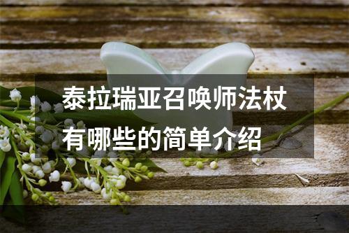 泰拉瑞亚召唤师法杖有哪些的简单介绍