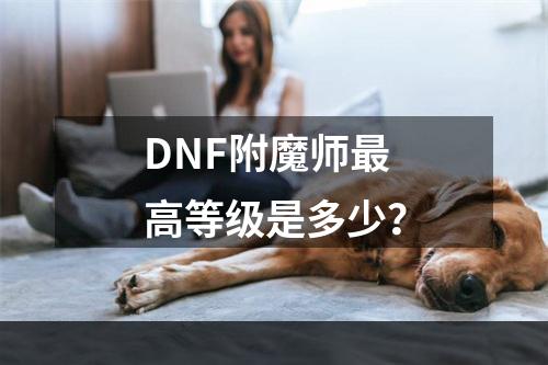 DNF附魔师最高等级是多少？