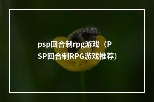 psp回合制rpg游戏（PSP回合制RPG游戏推荐）