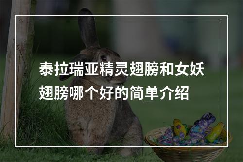 泰拉瑞亚精灵翅膀和女妖翅膀哪个好的简单介绍