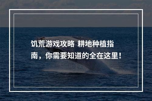 饥荒游戏攻略  耕地种植指南，你需要知道的全在这里！